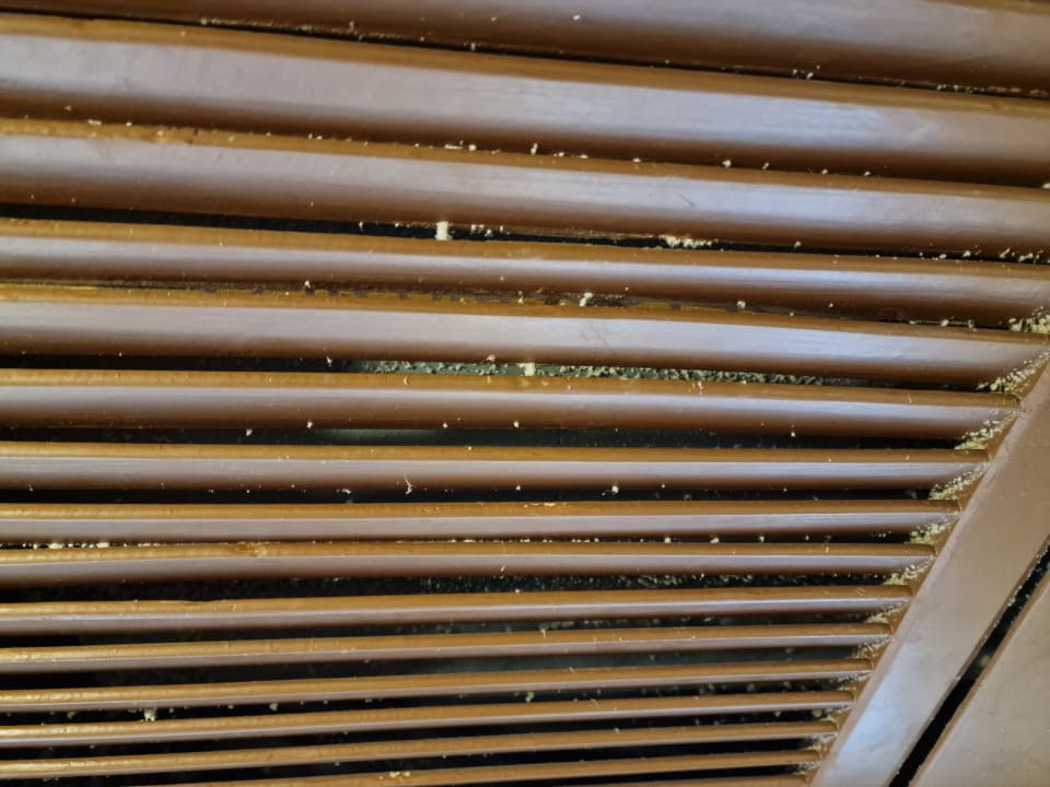 Zimmer Pickalbatros Citadel Resort