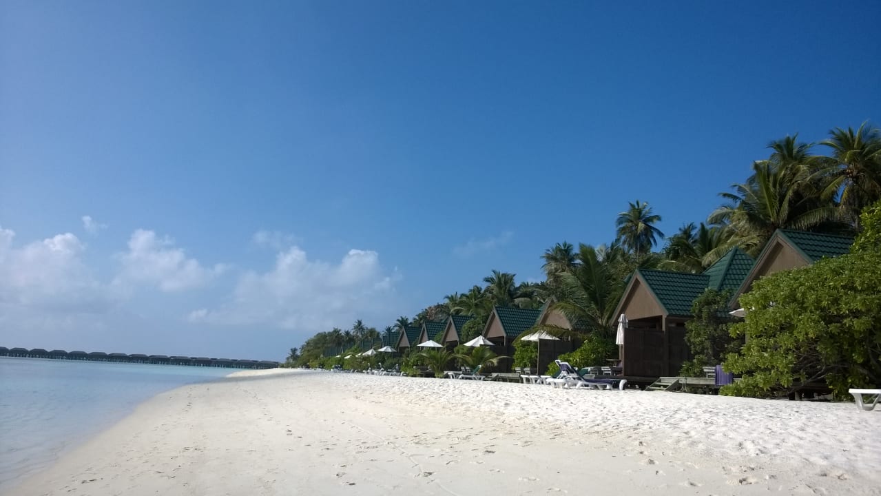 Irgendwo auf der Insel... Meeru Maldives Resort Island