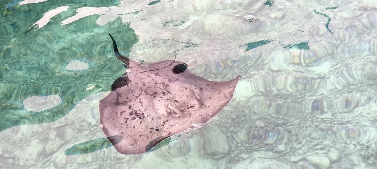 Strand Summer Island Maldives