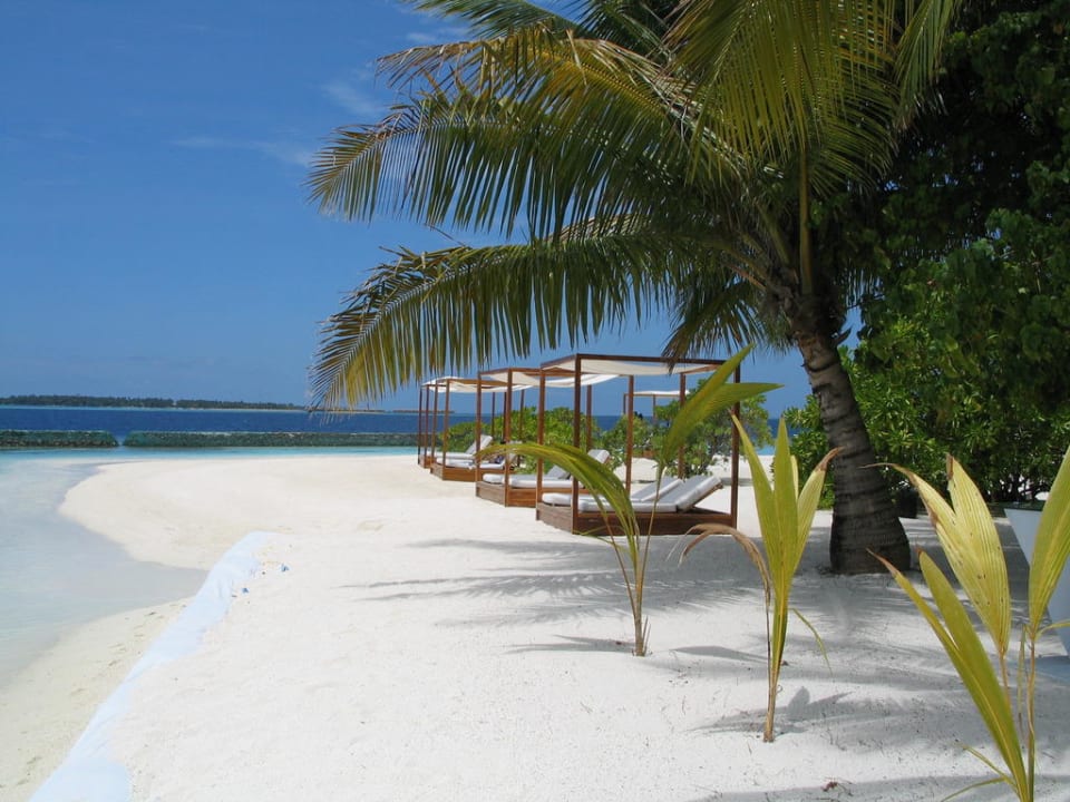 Strandabschnitt mit Day Beds Lily Beach Resort & Spa