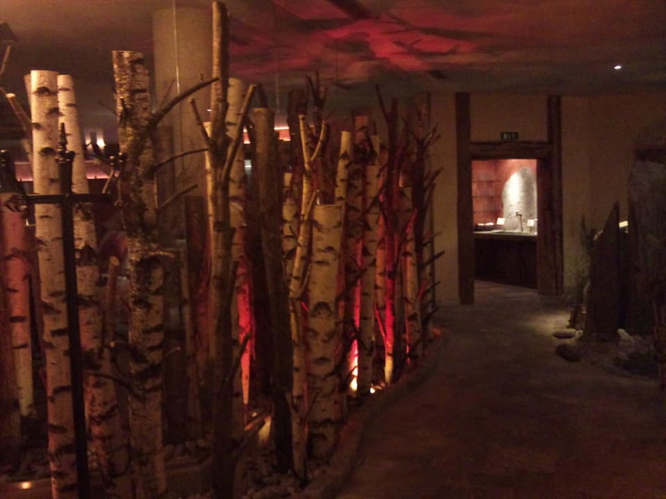 Sauna Hotel Alpin Spa Tuxerhof