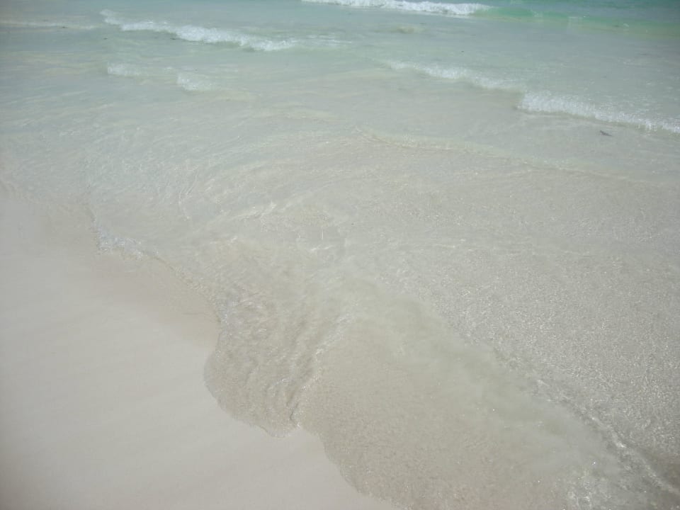 Hotel Catalonia Playa Maroma Catalonia Playa Maroma