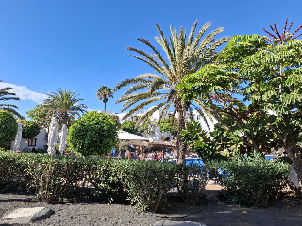 Außenansicht allsun App.-Hotel Albatros