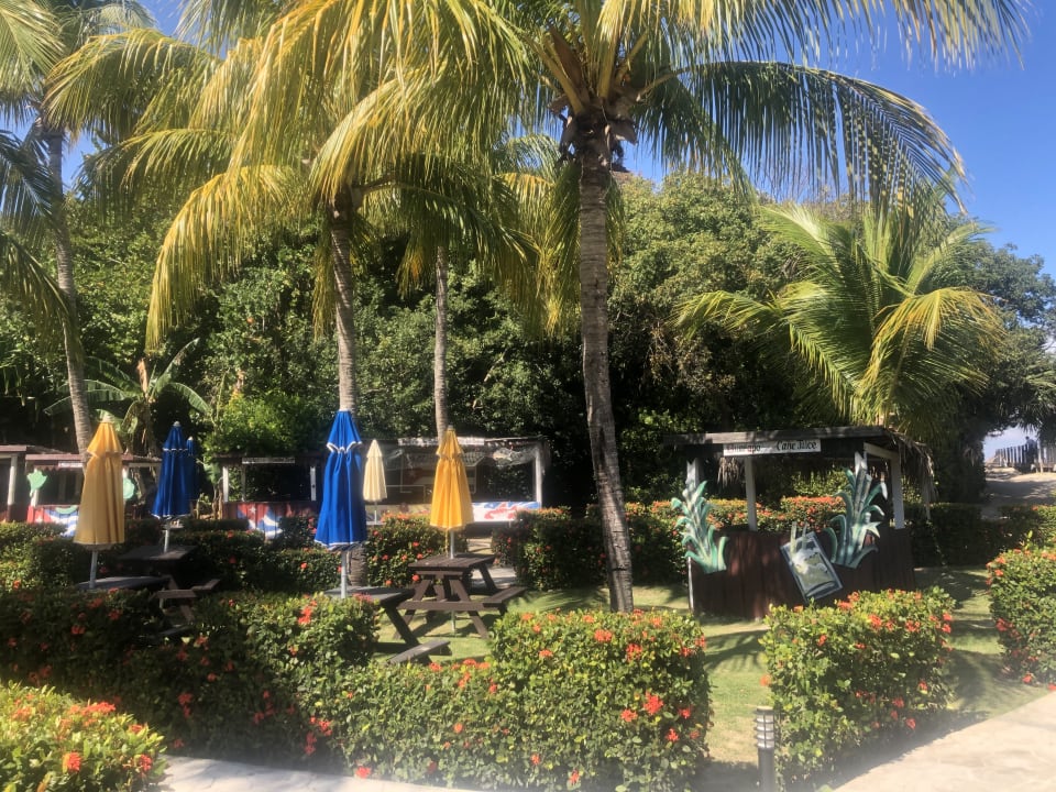 Gartenanlage Royalton Hicacos Resort & Spa - Adults only