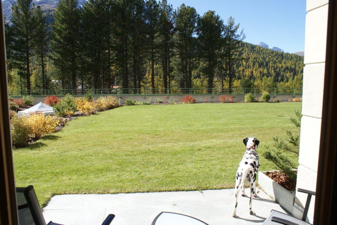 Junior Suite "De Luxe" Terrasse Grand Hotel Kronenhof Pontresina