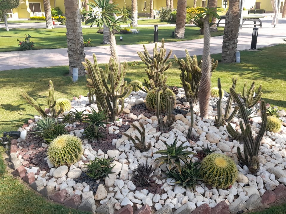 Gartenanlage Palm Beach Resort