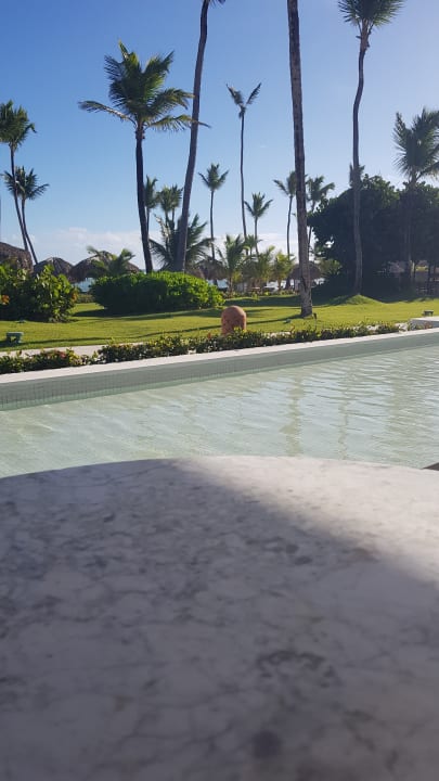 Gastro Excellence Punta Cana - Adults only