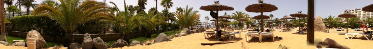 Strandliegen Hotel Riu Palace Tenerife