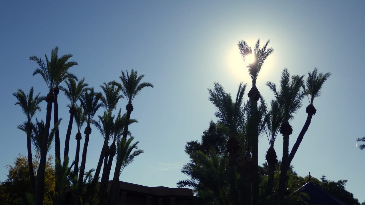 Palmen Hotel Riu Tikida Garden - Adults Only