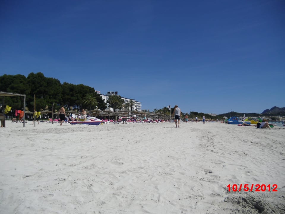 Strand  Grupotel Port d'Alcudia