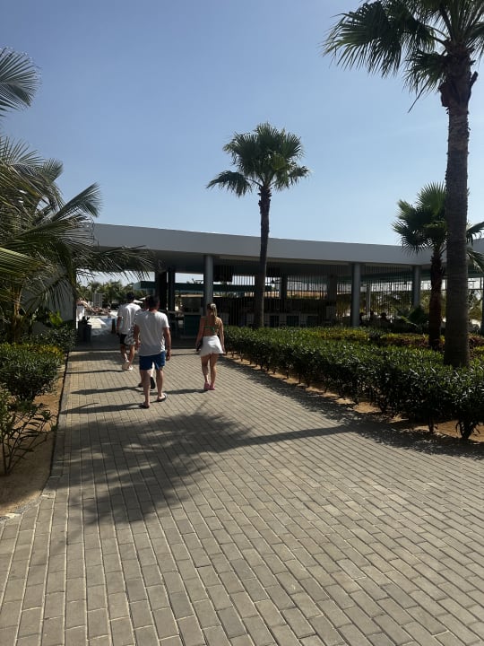 Gartenanlage Hotel Riu Palace Boavista