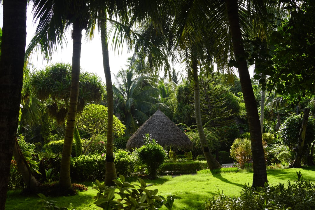 Gartenanlage Adaaran Select Meedhupparu Island Resort - Premium All Inclusive