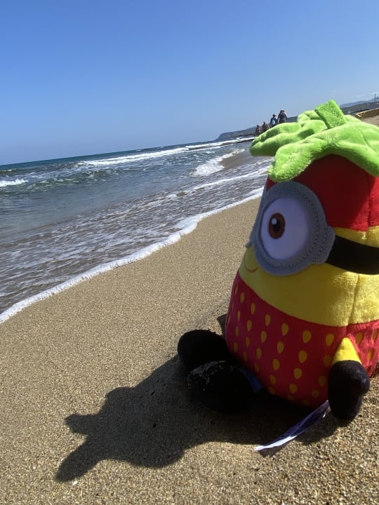 Strand allsun Hotel Carolina Mare