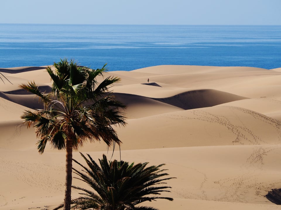 Ausblick Hotel Riu Palace Maspalomas Adults Only