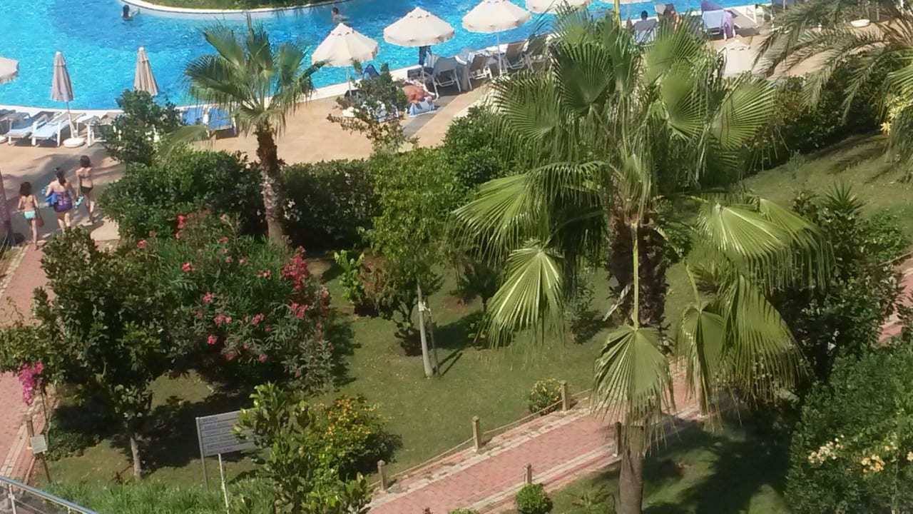 Ausblick aus dem Zimmer Richtung Pool Seaden Sea World Resort & Spa