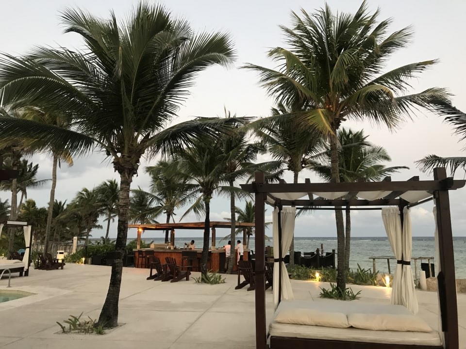 Gartenanlage Akumal Bay Beach & Wellness Resort