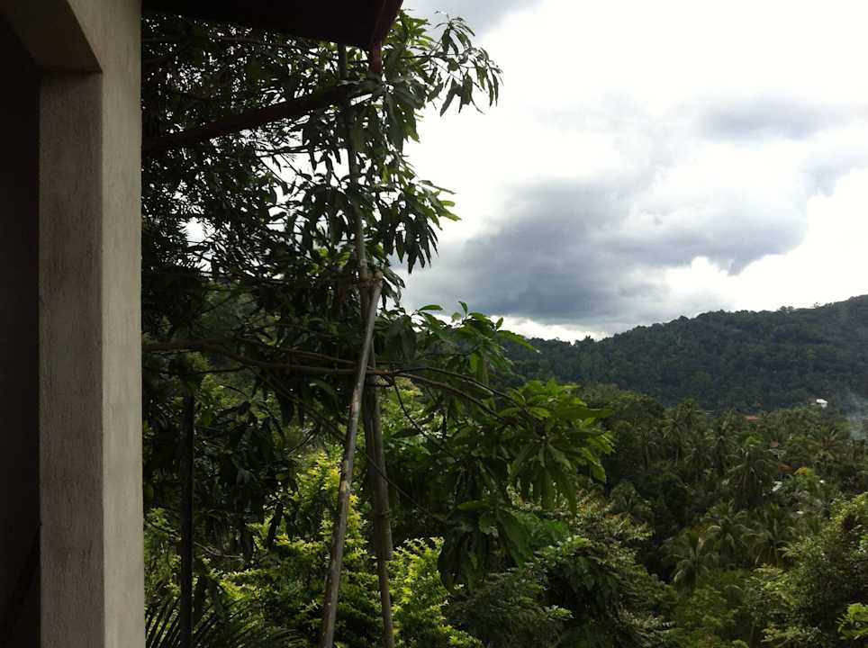 View from balcony Witherspoon Lodge