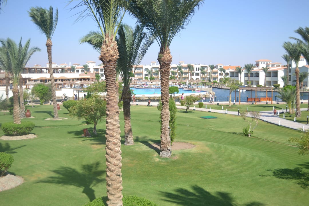 Schöne Bäume Pickalbatros Dana Beach Resort - Hurghada