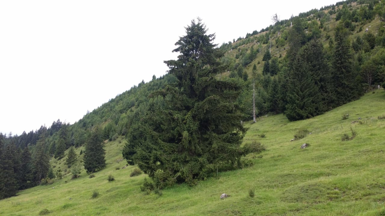 Seitlich vom Hotel Oberjoch - Familux Resort