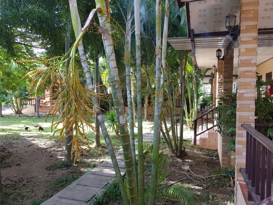 Gartenanlage Lanta Naraya Resort