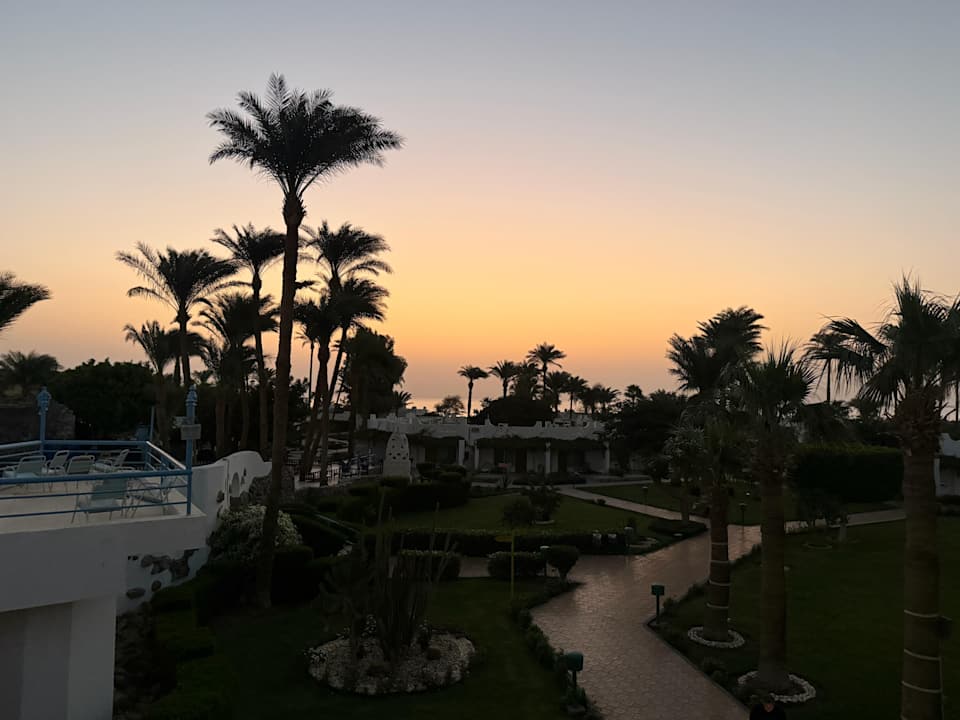 Gartenanlage Shams Safaga Resort