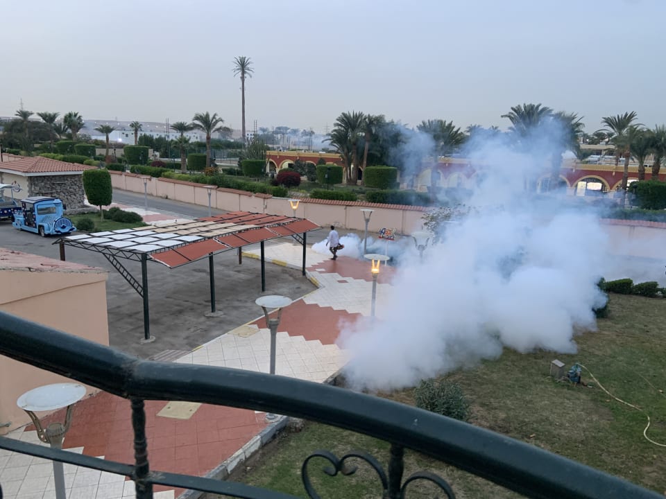 Gartenanlage Ali Baba Palace Resort