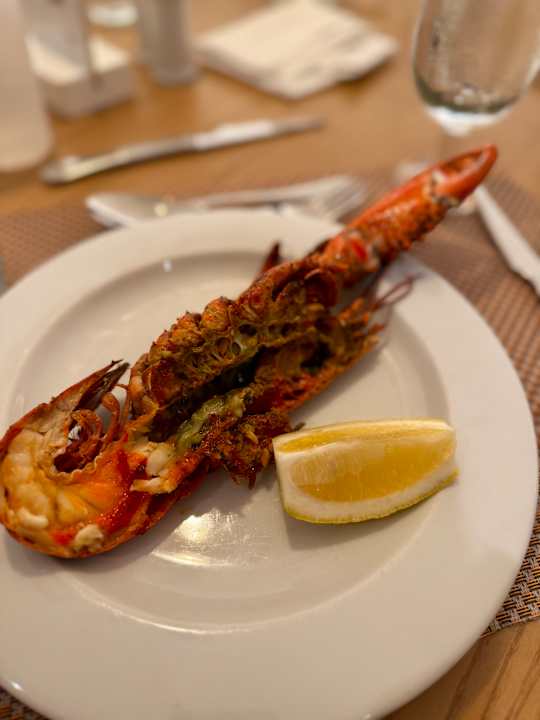 Gastro Iberostar Selection Albufera Park