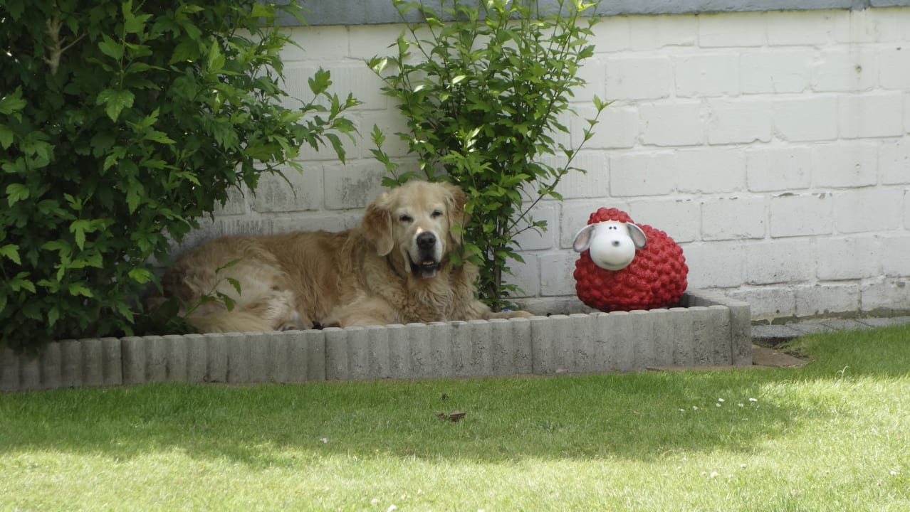 Gartenanlage Ferienhaus Dumont