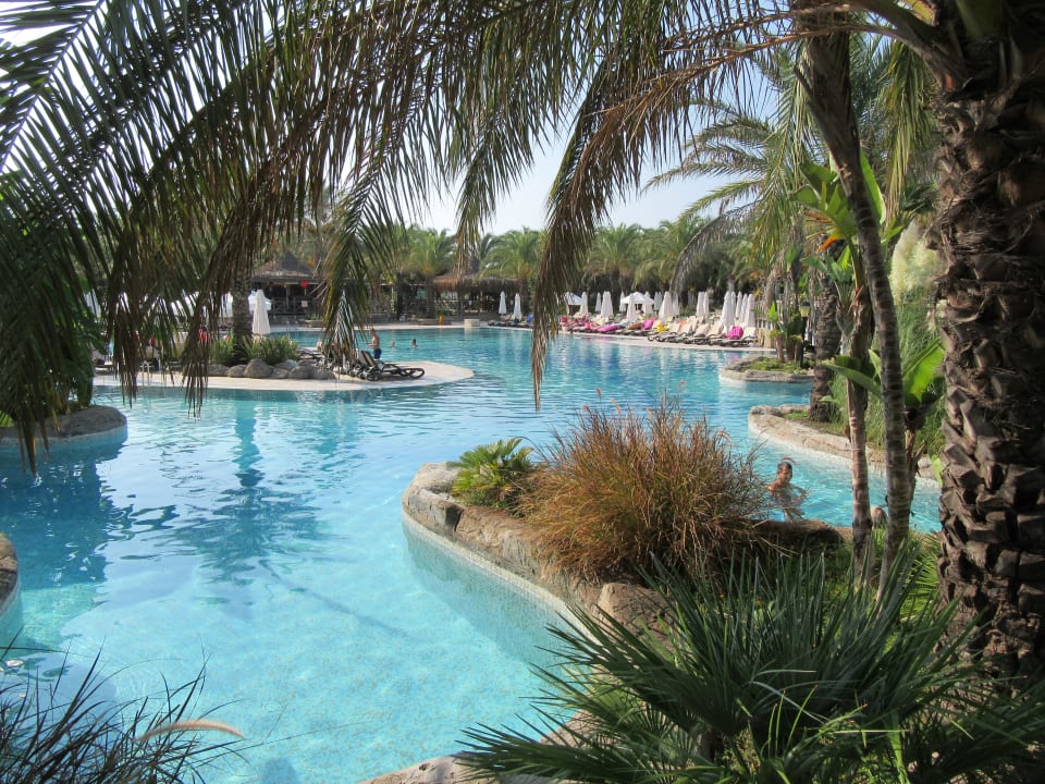 Pool Royal Wings Hotel