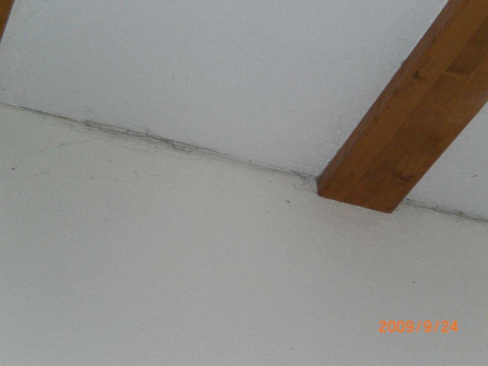 Spinnenweben Holzschuh’s Schwarzwaldhotel