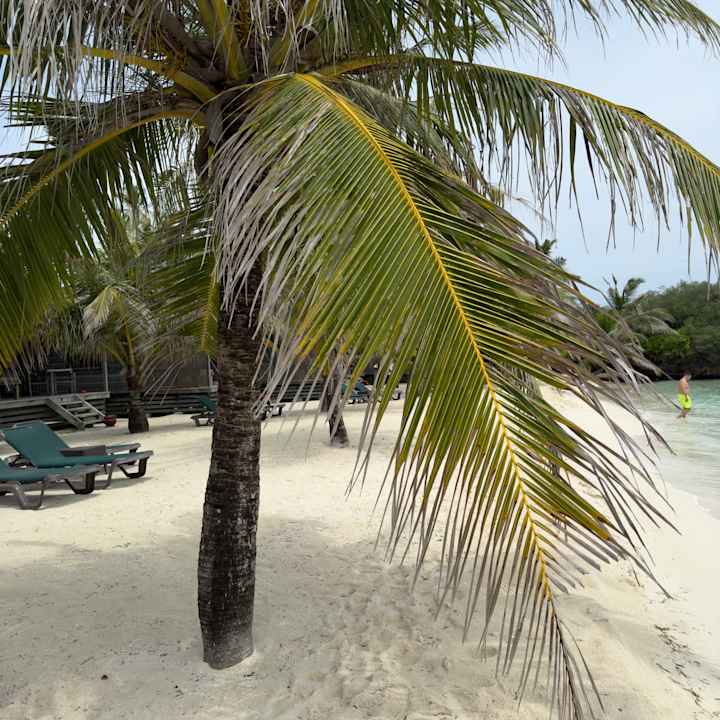 Strand Kuredu Island Resort & Spa