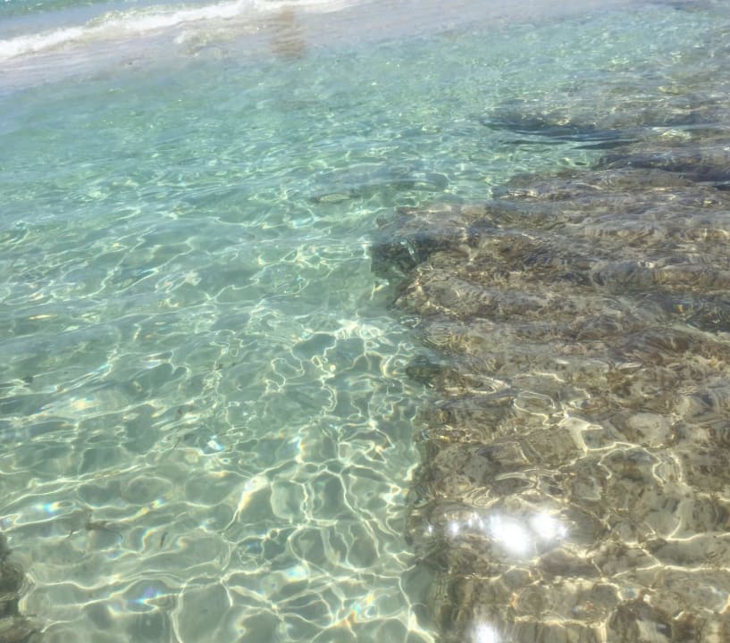 Wasser am Strand Hotel Riu Palace La Mola