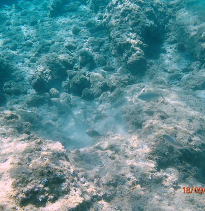 Strand Corissia Beach Hotel