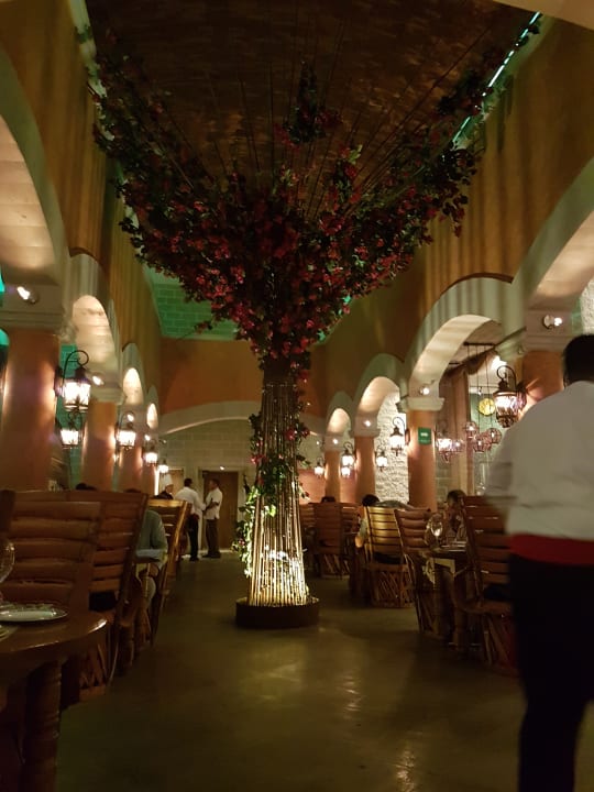 Gastro Secrets Vallarta Bay Puerto Vallarta