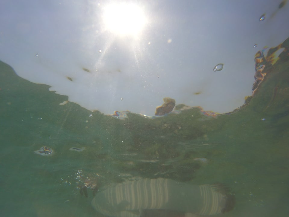 Strand Pickalbatros Citadel Resort