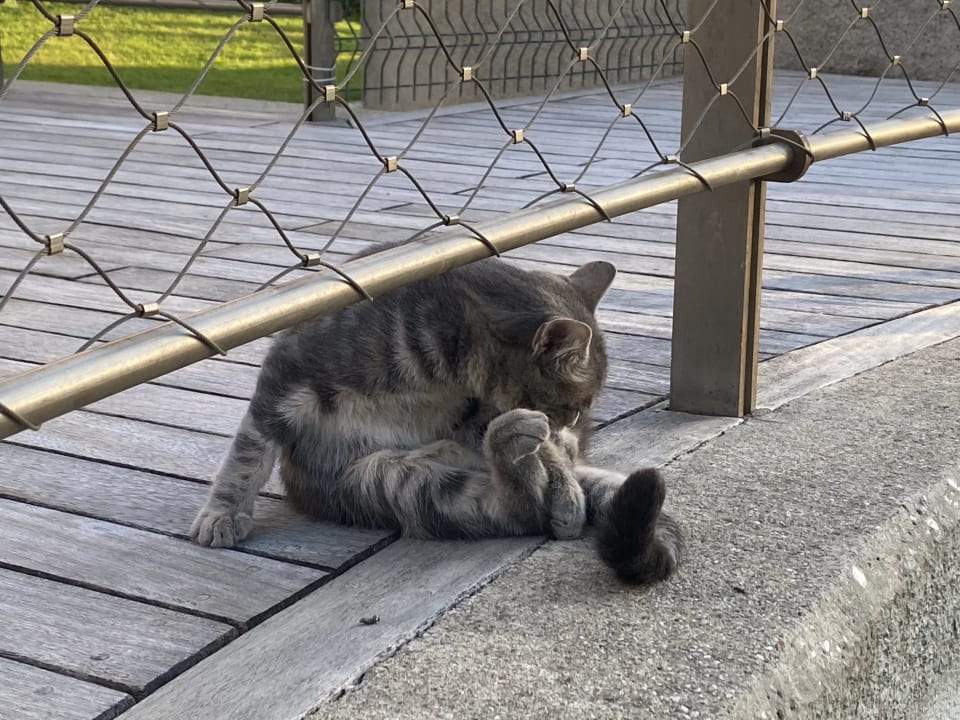 Sonstiges Labranda Alantur Resort