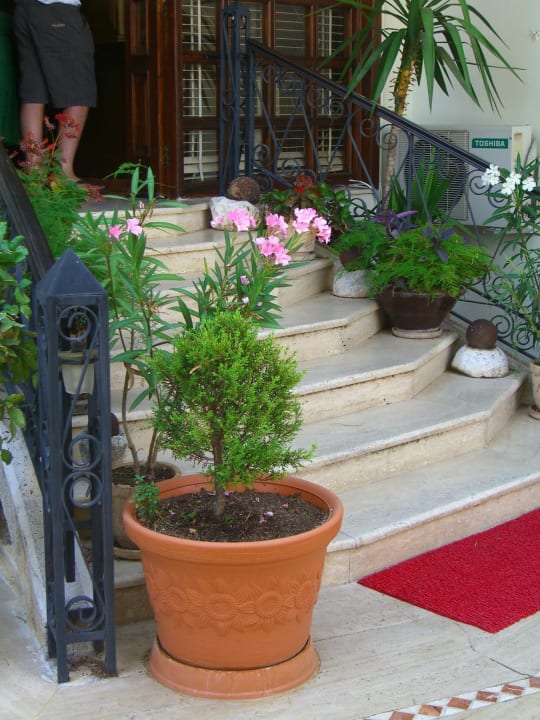 Mit Liebe zum Detail Dogan Hotel by Prana Hotels & Resorts