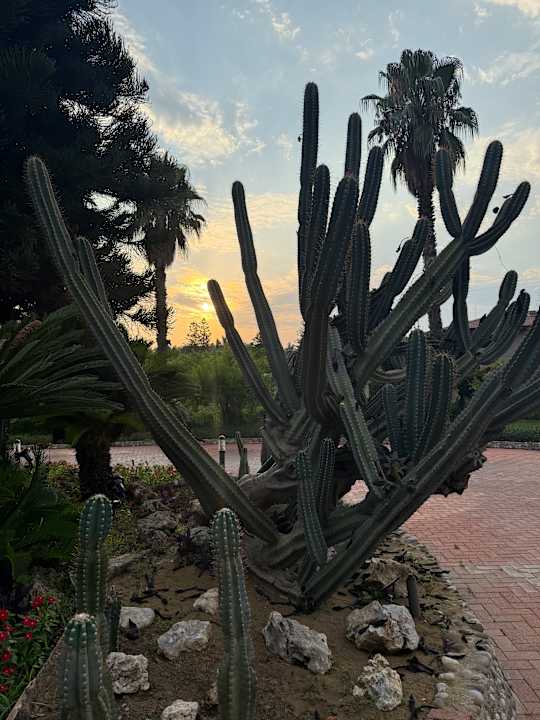 Gartenanlage Hotel Defne Star