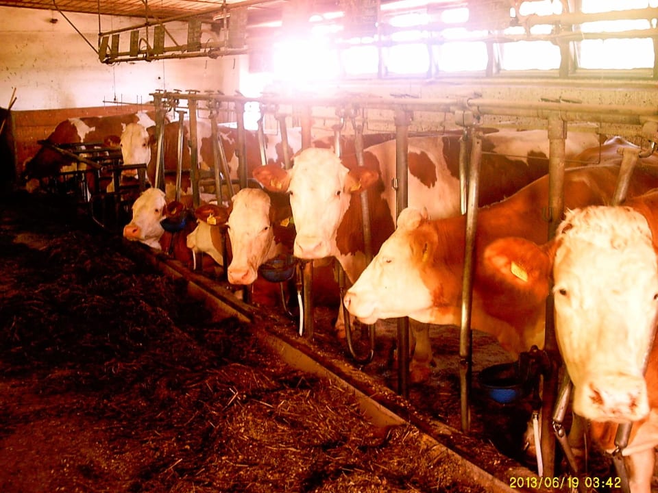 Schöner Stall Haus Ase - Urlaub am Bauernhof