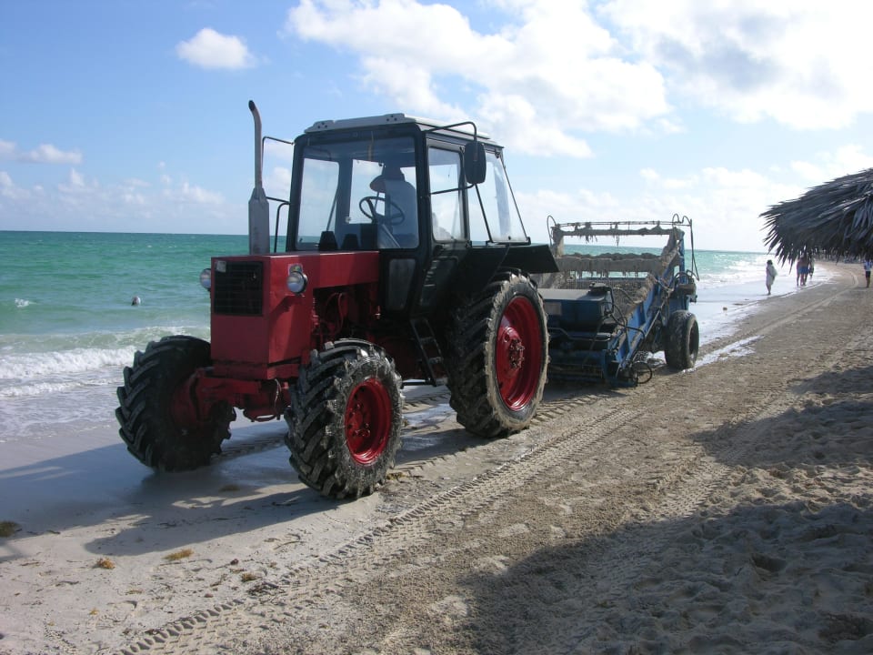 Strandreinigung Hotel Melia Cayo Coco - Adults only