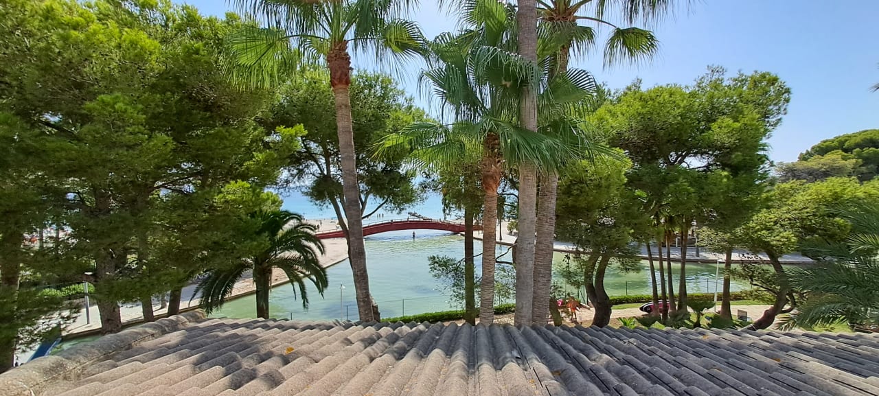 Ausblick allsun App.-Hotel Orquidea Playa