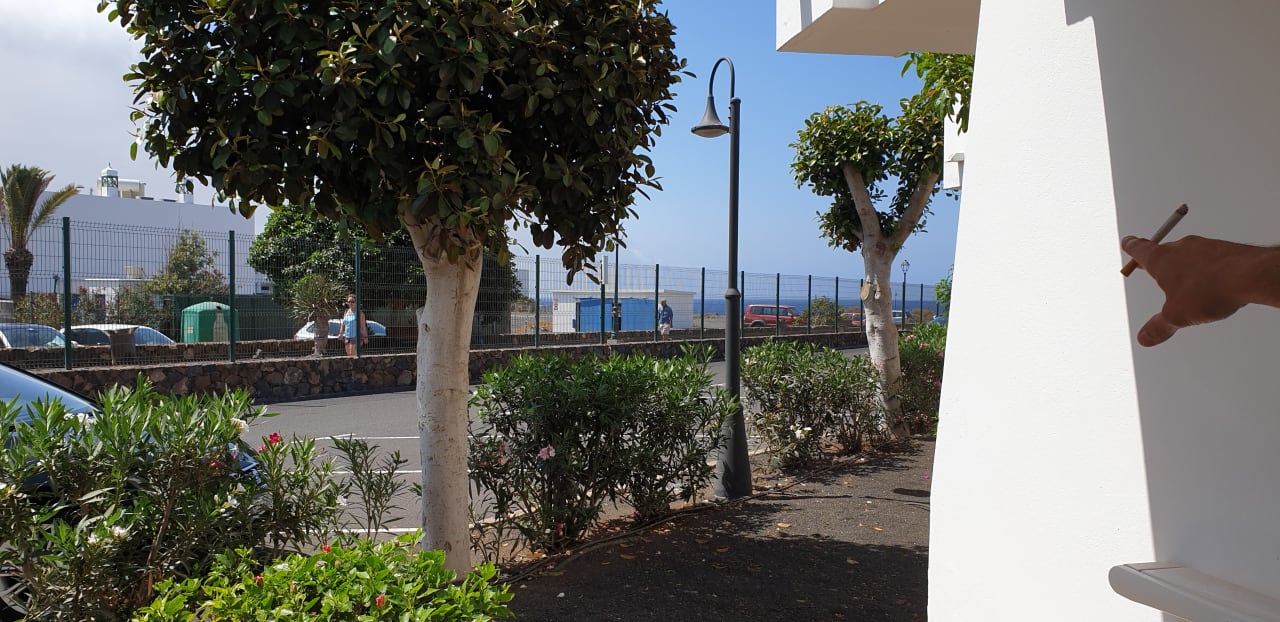 Ausblick allsun App.-Hotel Albatros