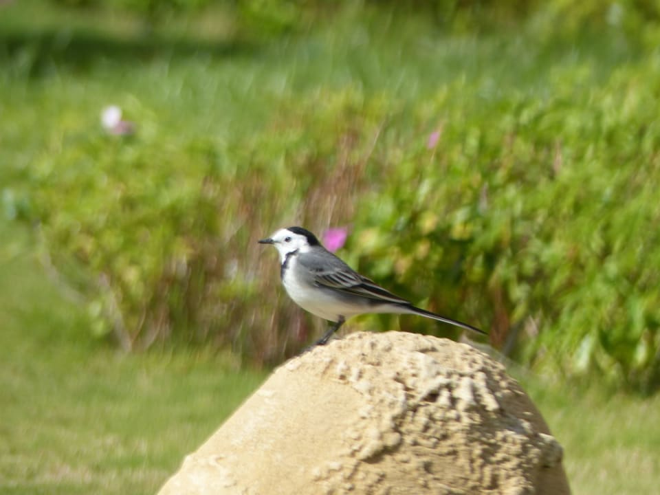 Vogel Three Corners Equinox Beach Resort