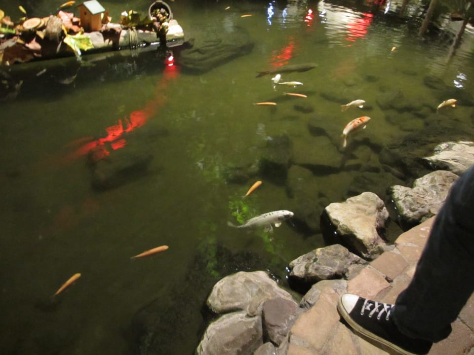 Zentrum Ferienpark Landal De Lommerbergen