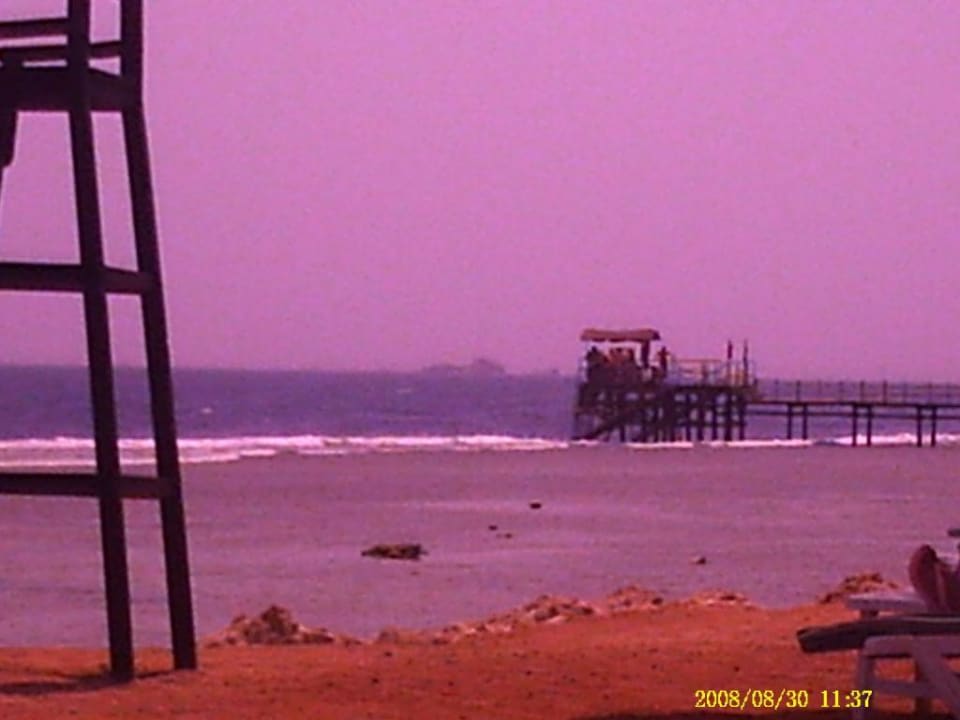Das ist der Steg von dem man aus ins Wasser kann Parrotel Aqua Park Resort