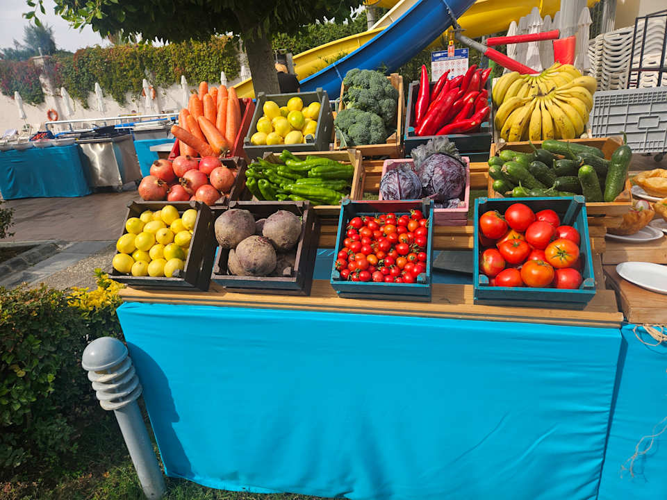 Gastro Seashell Resort