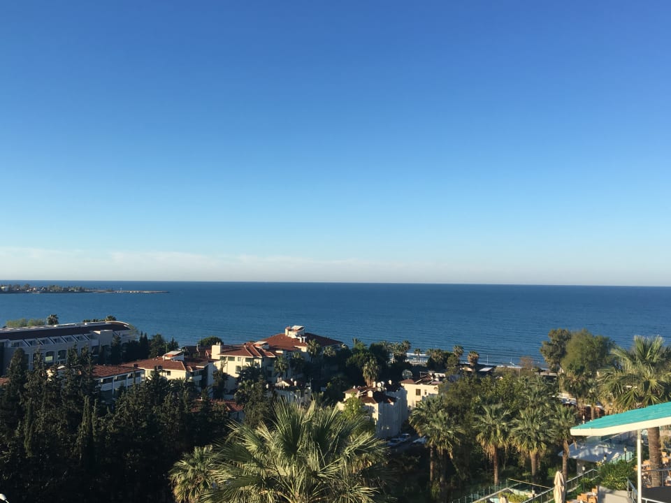 Zimmer Side Star Elegance