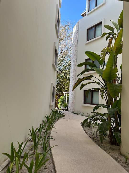 Außenansicht Akumal Bay Beach & Wellness Resort