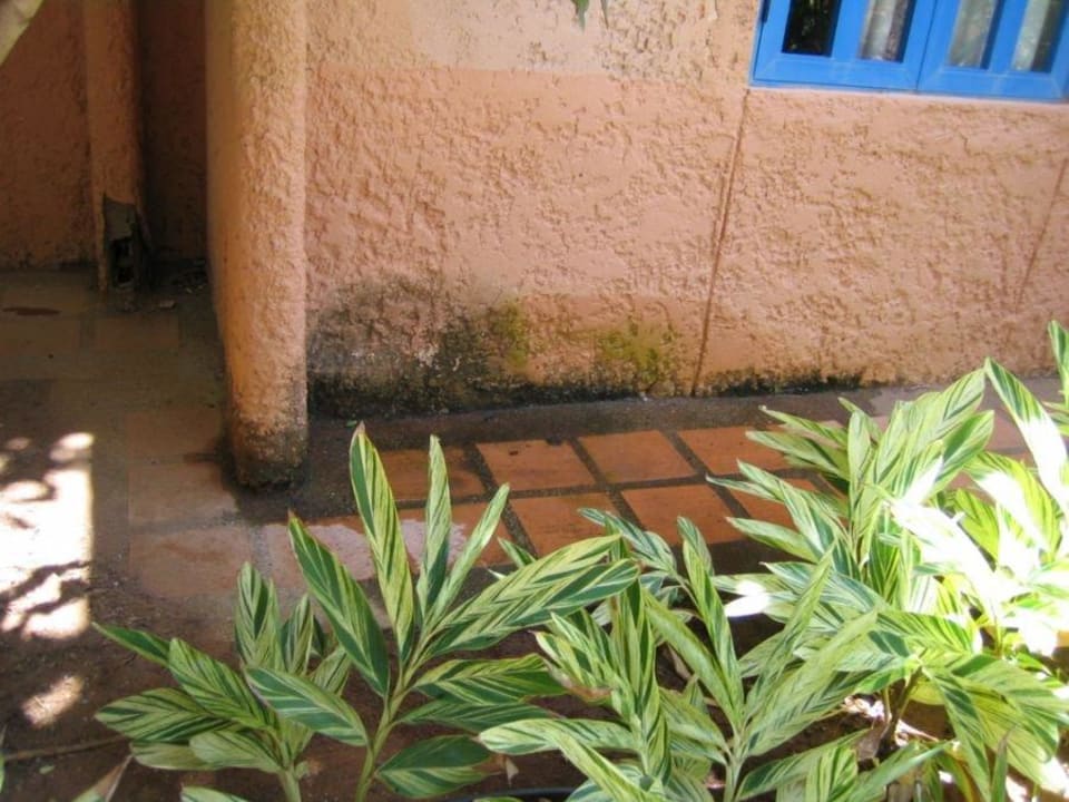 Ohne Worte Hotel Costa Caribe Beach