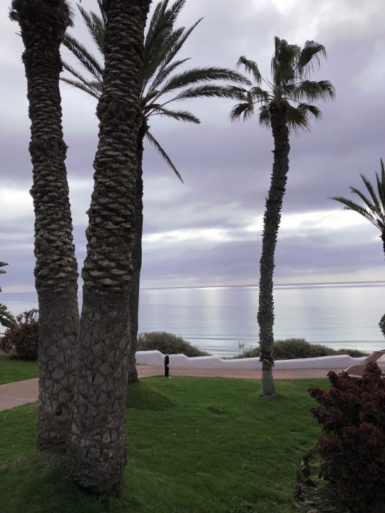 Gartenanlage Aldiana Club Fuerteventura